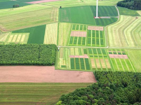 Grünland Versuchsfeld Kyllburg
