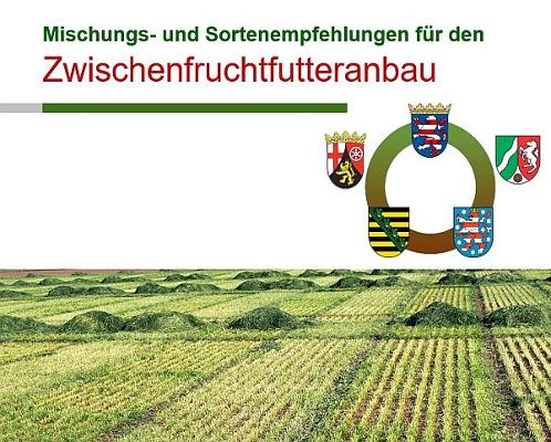 Mischung Sortenempfehlung Zwischenfruchtanbau